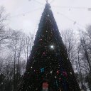 ���� ����, �������, 49 ��� - ��������� 11 ������ 2020 � ������ ���� ����������