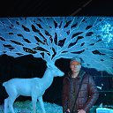 ��� 01.25.2020 ������� ��������, ��������������� ��������. �� ������� ���� ����������