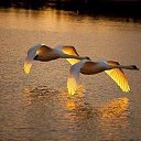 ���� �������, ������, 52 ���� - ��������� 26 ������ 2020 � ������ �000�