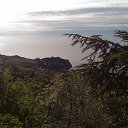 ,,, ,04.06.20. 7.30.    2020