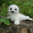 ���� Su(*(�)))nue, ������ - ��������� 21 ������ 2020 � ������ ���� ����������