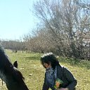  ,  , 50  -  28  2020    