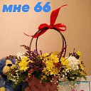 ���� �������, ����� - ��������� 3 ������� 2020 � ������ ������ ��������