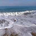 ���� �������, �����������, 62 ���� - ��������� 28 ������ 2020 � ������ ���� ����������