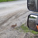 ���� ����, ����������, 51 ��� - ��������� 16 ���� 2020 � ������ ���� ����������