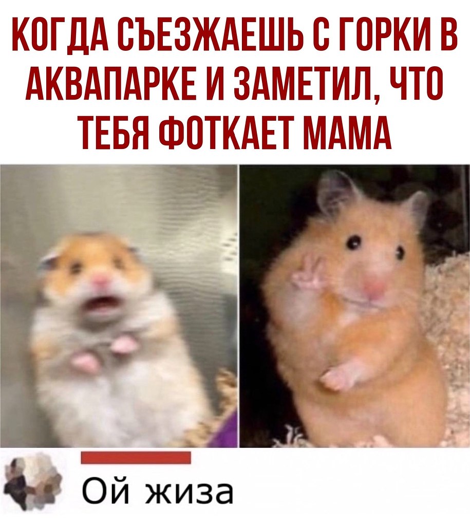  - 24  2020  18:41