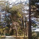 ,.,,02.03.20.14.40.    2020