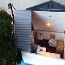 ���� �������, �������, 49 ��� - ��������� 1 ���� 2020 � ������ ���� ����������