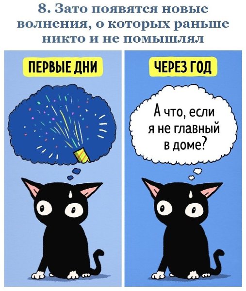 Подборка комиксов об отношениях с домашними животными - 8
