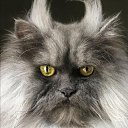 ���� ���������, �������� - ��������� 25 ������ 2020