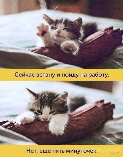 ����, ������ ������� ����� ������ ������������ - 7
