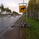 ���� ������, �����-���������, 34 ���� - ��������� 3 ���� 2020 � ������ �������