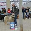 ���� Nik, ���������, 53 ���� - ��������� 13 ������ 2020