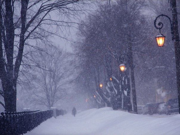 Разгулялся февраль за окном -.Запоздалая ярость зимы.Вздохи ветра, как жалобный стонЗамерзающей в ...