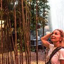 ������� � ��������� �������� �� ������� �������_��������