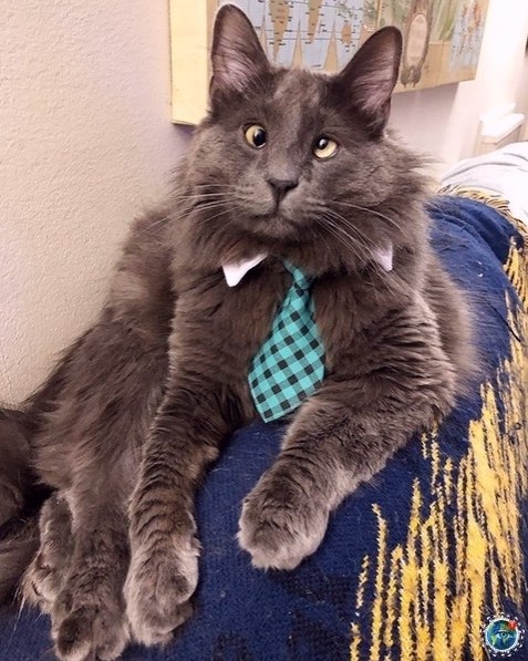   ea  e     e,  e  e . ep  ooaoo ... - 6