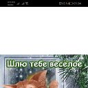 ���� ������, �����������, 56 ��� - ��������� 29 ����� 2020 � ������ ���� ����������