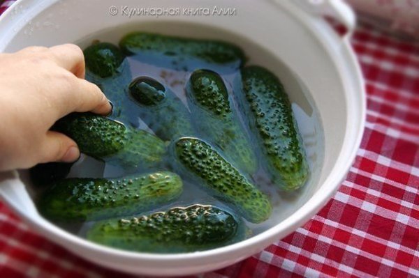 Готовим малосольные огурцы в целлофановом пакете. Легко, быстро и вкусно! - 2