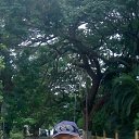 ���� Igor, ������� - ��������� 12 ���� 2020