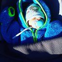 �������� � 1 ����� �� ������� ���� ����������