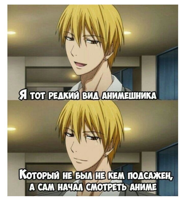 https://i01.fotocdn.net/s214/63e08b61a6c2944d/public_pin_l/2870970504.jpg