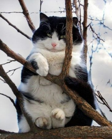 ,    ...))) - 2