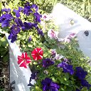  ,  -  3  2020     2020