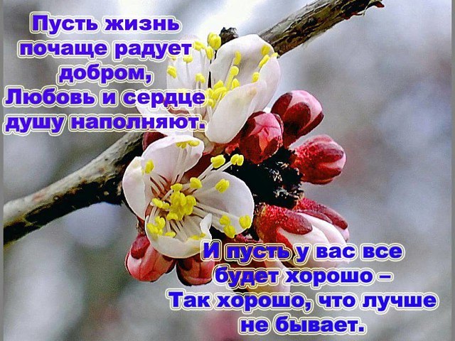 �� ����� ������! - 26 ������� 2020 � 10:00