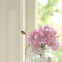 ���� ��������� ���������, ��������� - ��������� 11 ������ 2020 � ������ ���� ����������