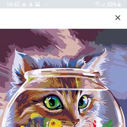 ���� Anna, ���� - ��������� 24 ������� 2020