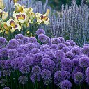 ���� ��������, ������ - ��������� 16 ���� 2020 � ������ ���� ����������