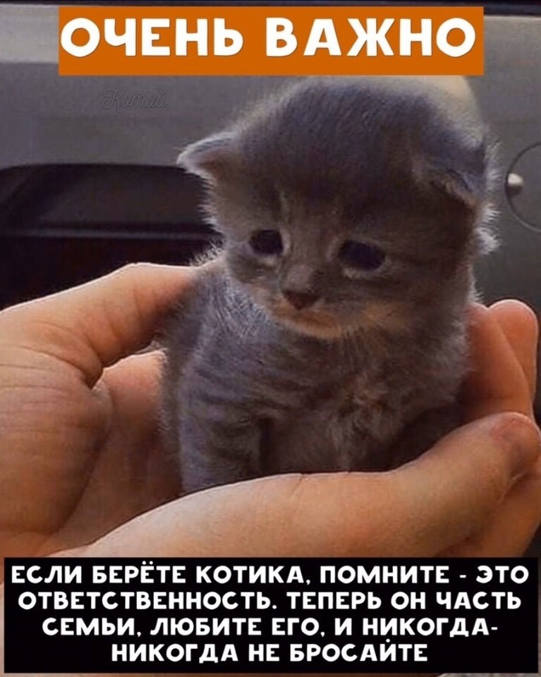     ! - 7