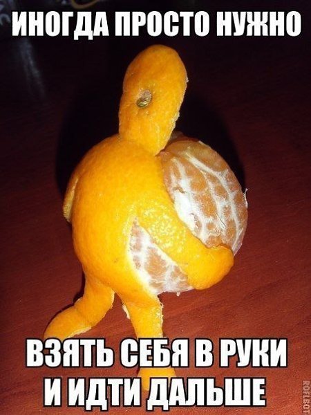 ������� - 13 ������ 2020 � 19:13