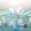 ���� Lara, ������� - ��������� 30 ������ 2020 � ������ �������