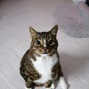 ���� Dragonsha (������), �����-��������� - ��������� 11 ����� 2020 � ������ ���� ��������