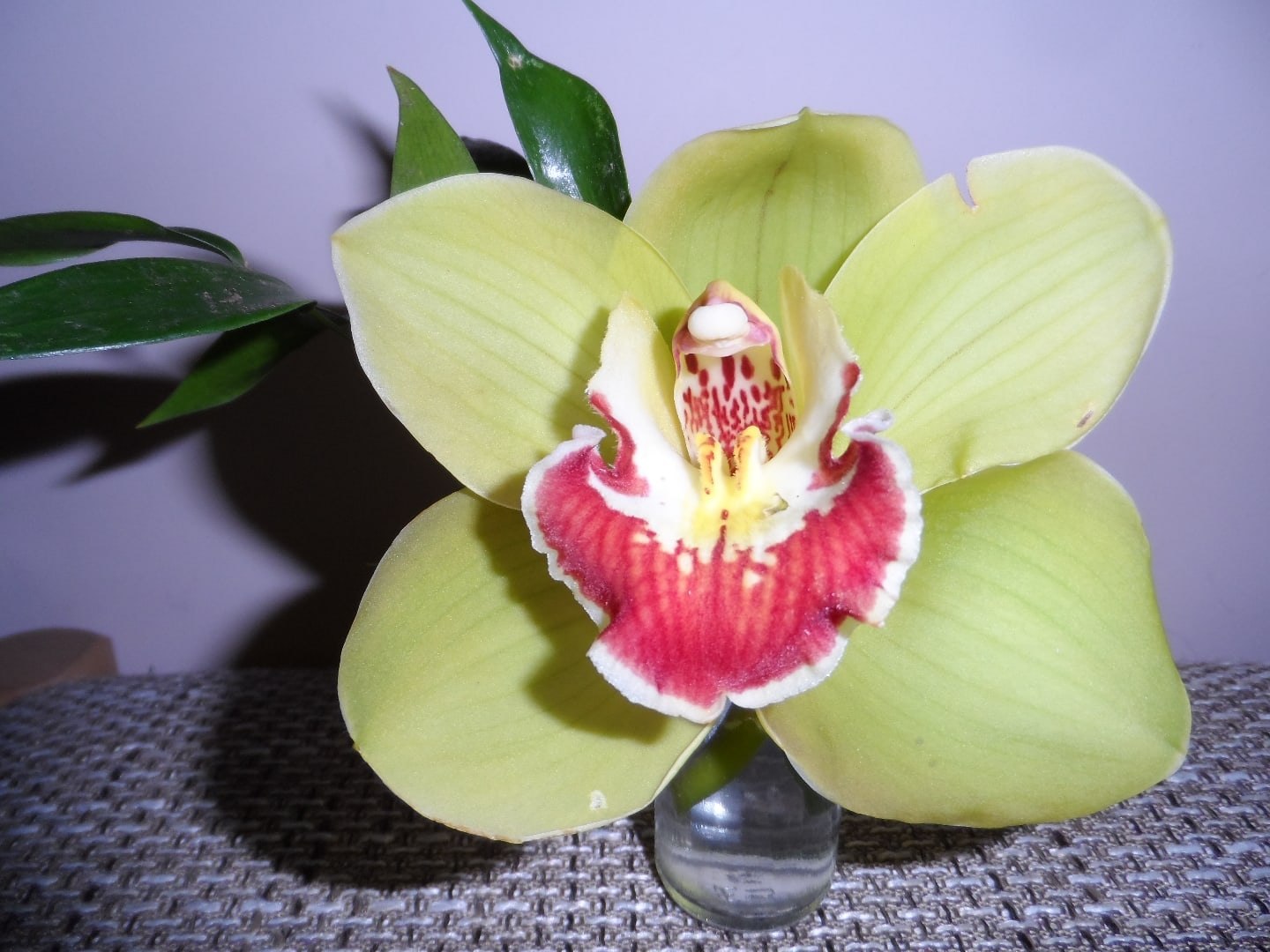  - 10  2020  20:57 - 3