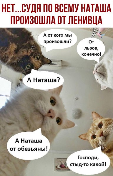 ������ - 19 ���� 2020 � 18:41