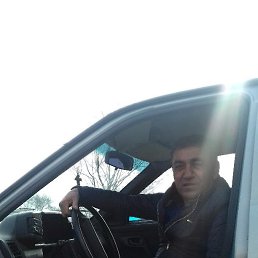 ������, ����������, 54 ����