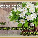  ,  -  14  2020    