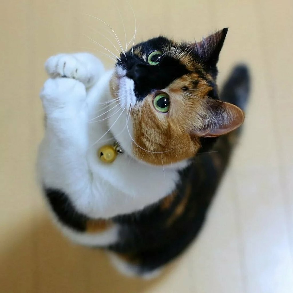 ,  , ,   !