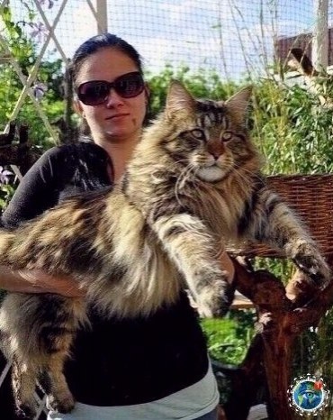 oo ocop a a pap oa oo -o! # - 5