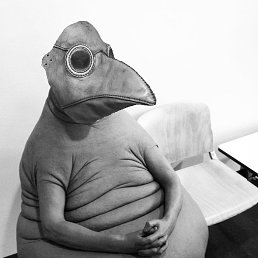 Amadeus, �������, 46 ���