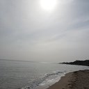 ���� ���������, ������, 43 ���� - ��������� 28 ����� 2020 � ������ ���� ����������