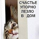 ���� �������� ( �� �����...), ��������, 59 ��� - ��������� 2 ������ 2020 � ������ ���� ����������