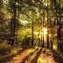 ���� ������, ������ - ��������� 14 ���� 2020 � ������ ������� �������� ���� ��� �������� �����