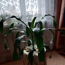 ������� �� ������� ���� ���������