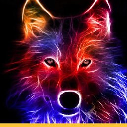 ���� �����, ������, 43 ���� - ��������� 19 ������ 2020