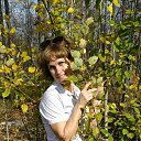 ���� ������, ������������, 48 ��� - ��������� 14 ������� 2020 � ������ ���� ����������