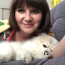 ���� �����, ���������, 51 ��� - ��������� 2 ������� 2020 � ������ ���� ����������