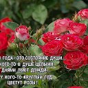 ���� �������, ������������ - ��������� 8 ���� 2020 � ������ ���� ����������